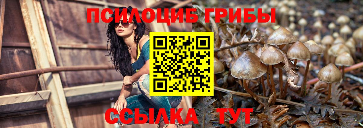 Псилоцибиновые грибы мицелий Норильск